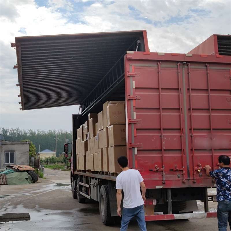 茶山镇扎囊县：物流专线的高效货运之旅